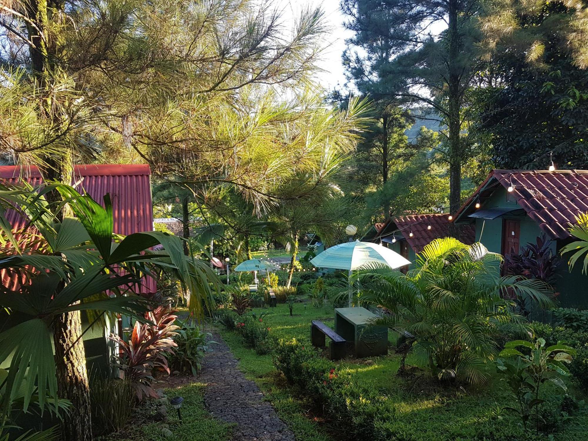 Los Pinos De Torio Bagian luar foto