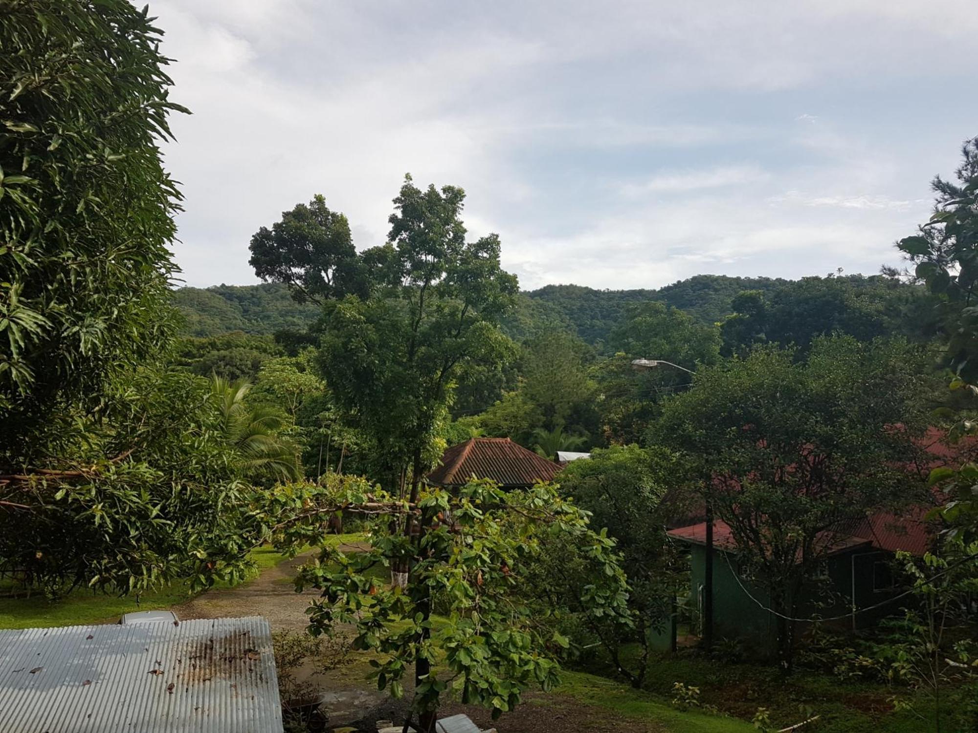 Los Pinos De Torio Bagian luar foto